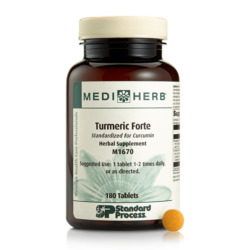 Turmeric Forte