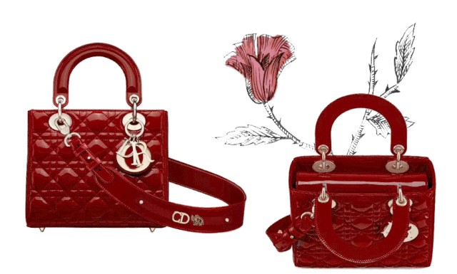DIOR red