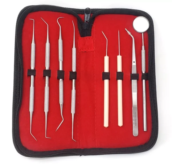 Dental Tool Kit