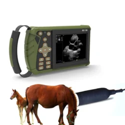 Portable veterinary ultrasound machine for small animals