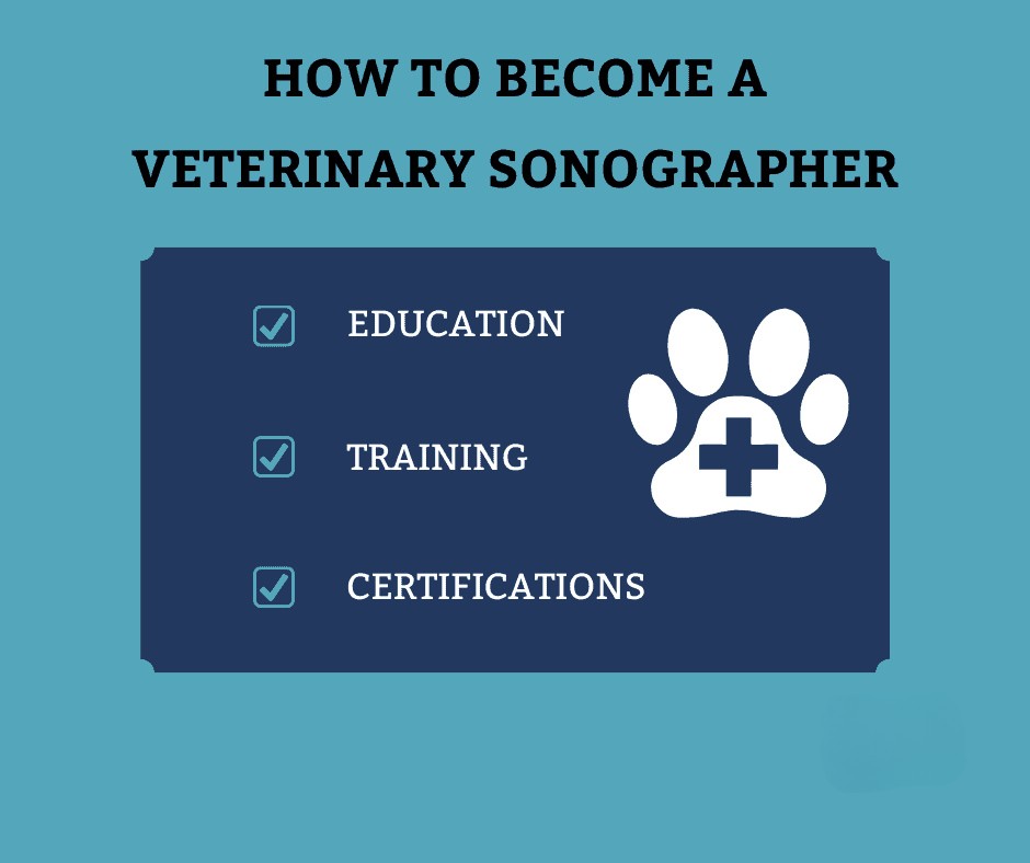 The Ultimate Guide to Veterinary Ultrasound Classes