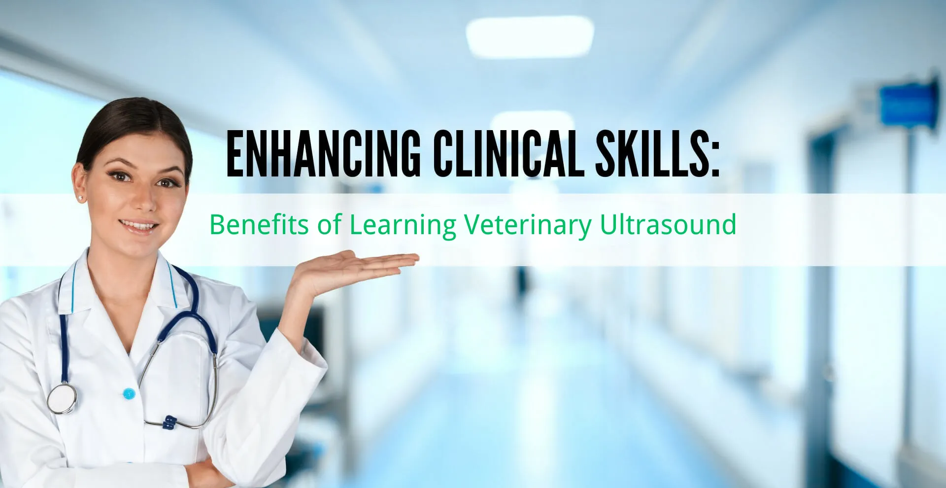 Benefits of Learning Veterinary Ultrasound