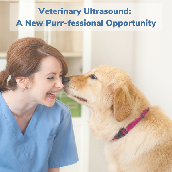 Veterinary Ultrasound